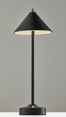 Adesso Ritchie LED Table Lamp, Black (2601-01)