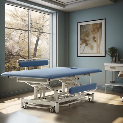 Viva Comfort Elite-Line Adjustable Exam Table with Side Rails, 550 lbs. Capacity, Blue (ADIME903-02-