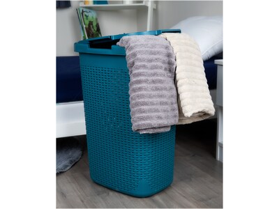 Mind Reader Plastic Laundry Hamper with Lid, Blue (60HAMP-BLU)