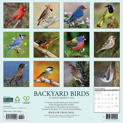 2026 Willow Creek Backyard Birds 12 x 12 Monthly Wall Calendar (50026X)