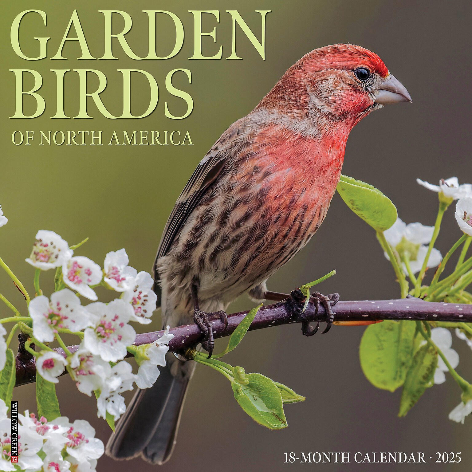 2025 Willow Creek Garden Birds of North America 12 x 12 Monthly Wall Calendar (42984)