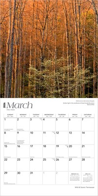 2026 BrownTrout Tennessee Wild & Scenic 12" x 12" Monthly Wall Calendar (9798330705795)