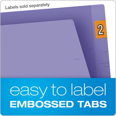 Pendaflex Recycled End Tab File Folder, Straight Cut, Letter Size, Purple, 100/Box (H110DPR)