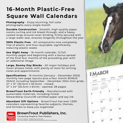 2025 BrownTrout Quarter Horses 12" x 12" Monthly  Wall Calendar (9781975477608)