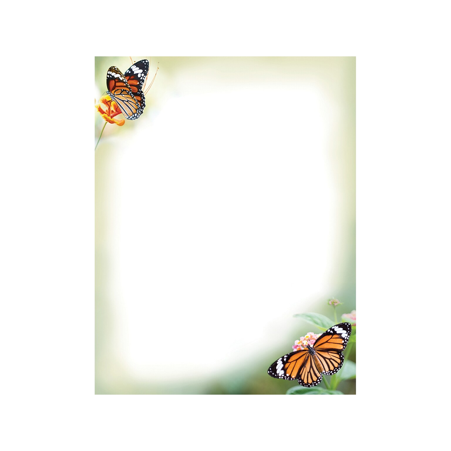 Great Papers Monarch Butterflies Letterhead, Multicolor, 50/Pack (2023065)
