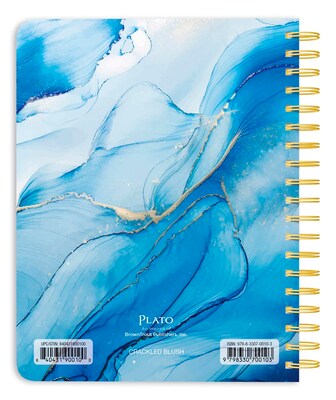 2025-2026 Plato Crackled Blush 6 x 7.75 Academic Year Weekly Planner, Multicolored (9798330700103)