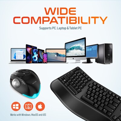 Delton Ergonomic Wireless Keyboard and Trackball Mouse Combo, Black (DKMBKB200BD1)