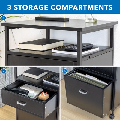 Mount-It! 2-Drawer Mobile File Cabinet, Rolling With Casters, Black (MI-943)