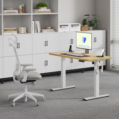 FlexiSpot E2 48''W Electric Rectangular Adjustable Standing Desk, Maple/White (E2W4824M)