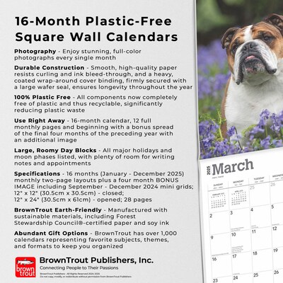 2025 BrownTrout English Bulldogs 12" x 12" Monthly Wall Calendar (9781975476755)
