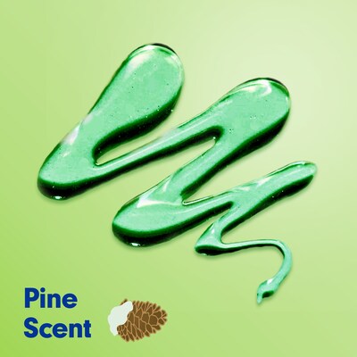 Softsoap Limited Edition Wonderful Winter Liquid Hand Soap, Pine Scent, 11.25 fl oz. (61023766)