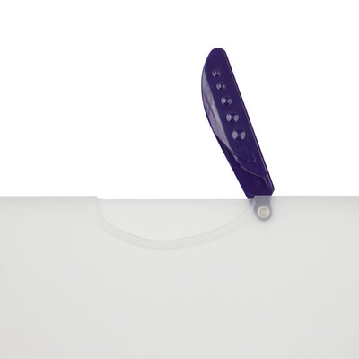 JAM Paper Heavyweight Sheet Protector, Purple/Clear, 20/Pack (SL249PUb)