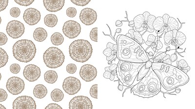 Quarto Beautiful Nature Coloring Book, 128 Pages (9780785843382)