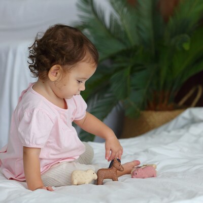 Plan Toys Wooden Farm Animals Playset, Multicolored, 4/Pack (PTS6127)