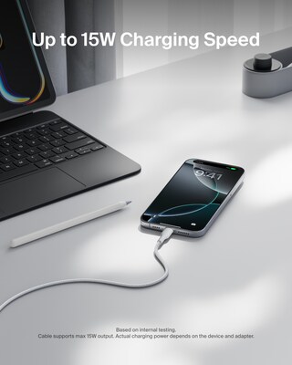 Belkin BoostCharge Pro 6.6' USB C to USB A Power Cable, Male to Male, Black (CAB022FQ2MWH)