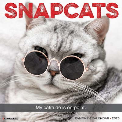 2025 Willow Creek Snapcats 12 x 12 Monthly Wall Calendar (44964)