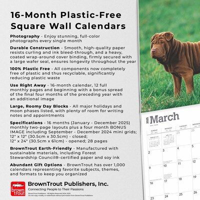 2025 BrownTrout Shar Pei 12" x 12" Monthly Wall Calendar (9781975477707)