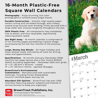 2026 BrownTrout Golden Retriever Puppies 12" x 12" Monthly Wall Calendar (9798330703463)