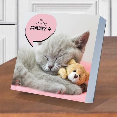 2027 TF Publishing Cat A Day 5.25" x 5.25" Daily Day-to-Day Calendar, Multicolored (27-3002)