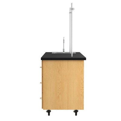 Diversified Woodcrafts Oak Wood ADA Compatible Mobile Lab Station (4352K)