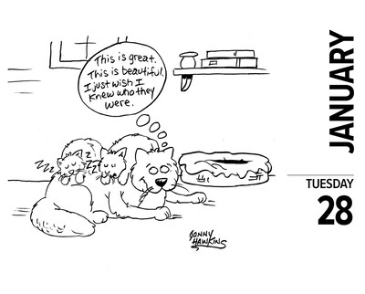 2025 Willow Creek Cat Cartoon-A-Day by Jonny Hawkins 6" x 5.5" Day-to-Day Calendar, Multicolor (40713)