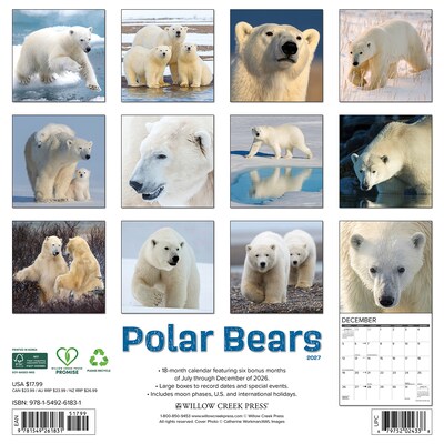2027 Willow Creek Polar Bears 12 x 12 Monthly Wall Calendar, Assorted Colors (61831)