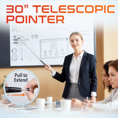 Delton LP99 2.4GHz Wireless Presentation Remote Laser Pointer Stylus and 30” Telescopic Pointer, Black (DLP99)