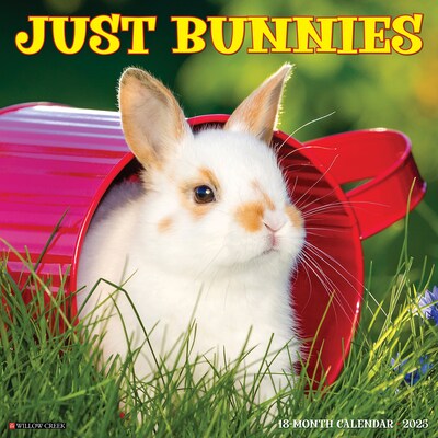 2025 Willow Creek Just Bunnies 12 x 12 Monthly Wall Calendar (42045)