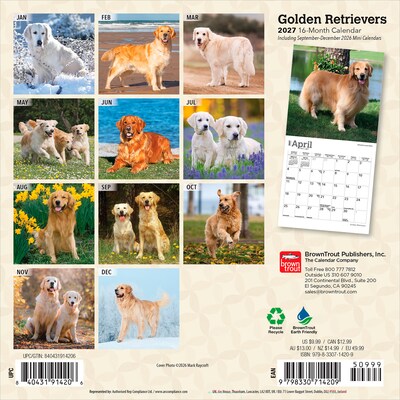 2027 BrownTrout Golden Retrievers 7 x 7 Monthly Wall Calendar, Assorted Colors (9798330714209)