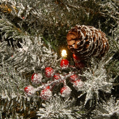 National Tree Company 32" Snowy Dunhill Fir Bethlehem Star with Battery Operated LED Lights (DUF3-301-32STB1)