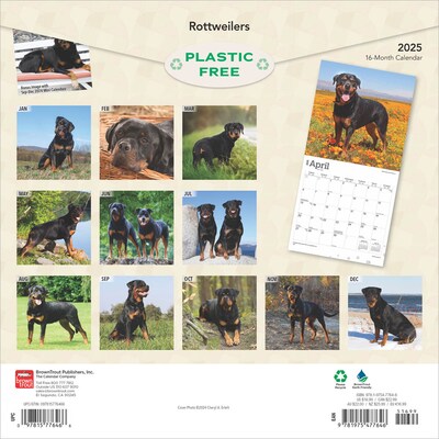 2025 BrownTrout Rottweilers 12 x 12 Monthly  Wall Calendar (9781975477646)