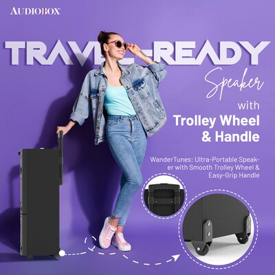 Audiobox Wireless Bluetooth Party Speaker with Dual 8-In. Woofers, Lights, Wireless Mics, WaveSync & Remote, Black (ABX-8080R)