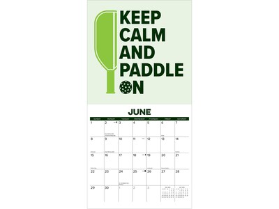 2025 Willow Creek Pickleball 12" x 12" Monthly Wall Calendar, Green/White (44445)