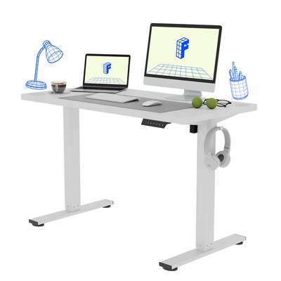 FlexiSpot E2 48W Electric Adjustable Standing Desk, White (E2W4824W)