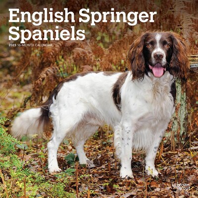 2023 BrownTrout English Springer Spaniels 12 x 12 Monthly Wall Calendar (9781975451622)