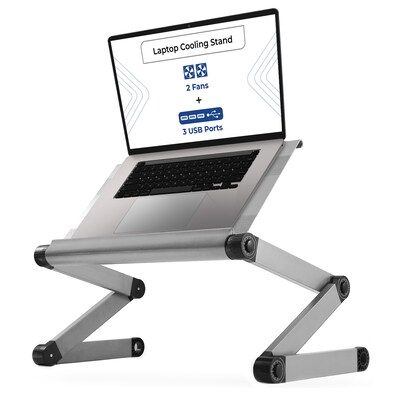 Uncaged Ergonomics WorkEZ Executive with 2 Cooling Fans + 3 USB Ports, Silver (WEEFHs)
