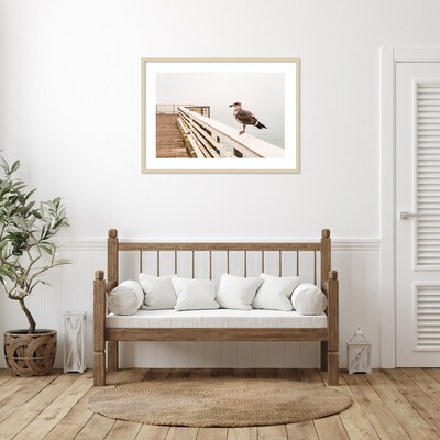 Amanti Art Sea gull on wharf by Alison Jones Danita Delimont Wood Framed Wall Art Print, 41 x 30 (