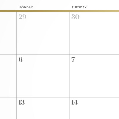 2026-2027 Cambridge Workstyle 15" x 12" Academic Monthly Wall Calendar, White/Gold (1606-707A-27)