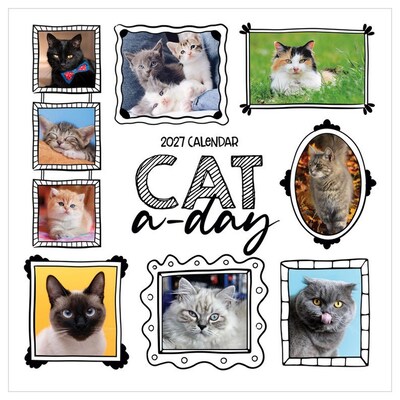 2027 TF Publishing Cat-A-Day 12 x 12 Monthly Wall Calendar (27-1002)