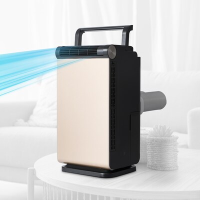 Black & Decker 115-Volt 1,000 BTU (250 BTU DOE) Portable Air Conditioner, Beige/Black (BP01PT)