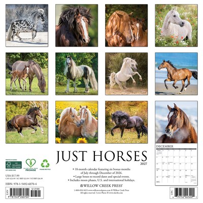 2027 Willow Creek Horses 12 x 12 Monthly Wall Calendar, Assorted Colors (60704)