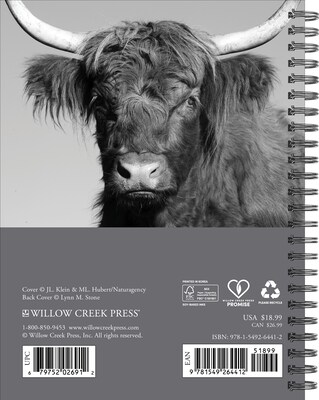 2027 Willow Creek Highland Cows 6.5 x 8.5 Weekly & Monthly Desk Calendar (64412)