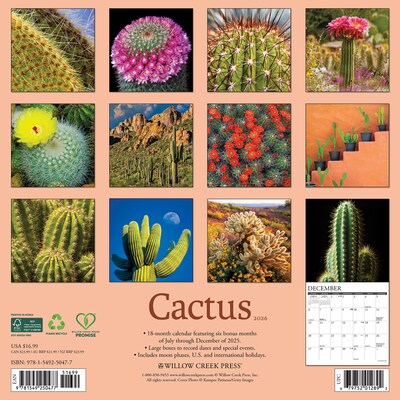 2026 Willow Creek Cactus 12 x 12 Monthly Wall Calendar (50477)