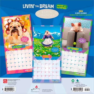 2026 BrownTrout Livin the Dream 12 x 12 Monthly Wall Calendar (9798330701469)