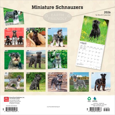 2026 BrownTrout Miniature Schnauzers 12 x 12 Monthly Wall Calendar (9798330705467)