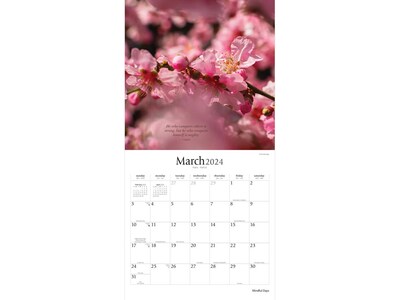 2024 Brush Dance Mindful Days 12" x 12" Monthly Wall Calendar (9781975469986)