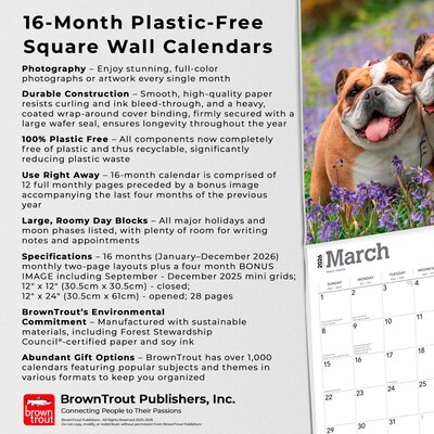 2026 BrownTrout Bulldogs 12" x 12" Monthly Wall Calendar (9798330703210)