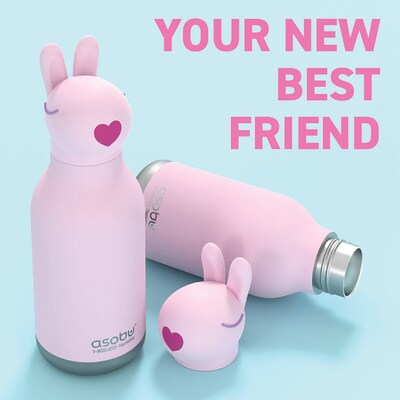 ASOBU Bestie Bottle Bunny Vacuum Insulated Stainless Steel Water Bottle with Reusable Flexi Straw, 16 oz., Pink (SBV44BU)