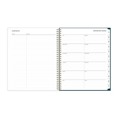 2025-2026 Blue Sky Greta 8.5" x 11" Weekly & Monthly Planner, Plastic Cover, Multicolored (136479-A26)