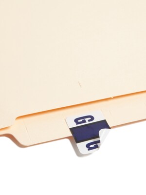 Smead BCCR Labels File Folder Label, G, Violet, 500 Labels/Pack (67077)